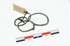 Foto von Bronzering (NHMW-PRAE-026337)
